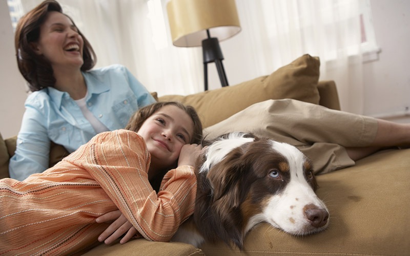 save energy and be comfortable